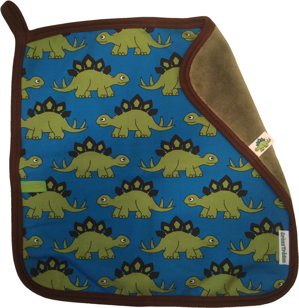 Dinosaur (1000x1000), Png Download