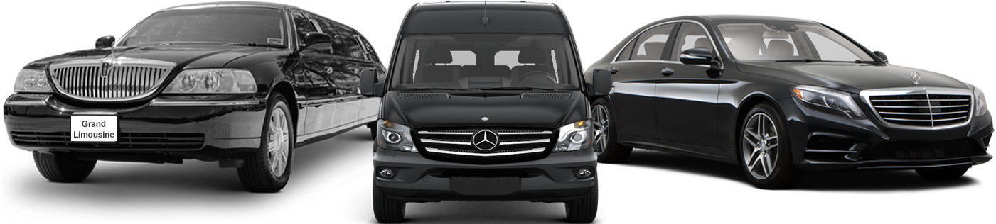 Our Mission Is Client's Satisfaction - Mercedes-benz Sprinter (1427x315), Png Download