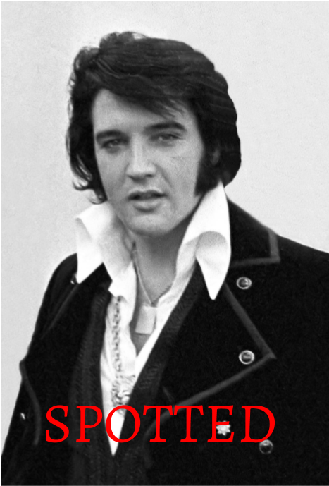 New World University Faked His Death Nyu - Elvis Presley For Kids (960x720), Png Download