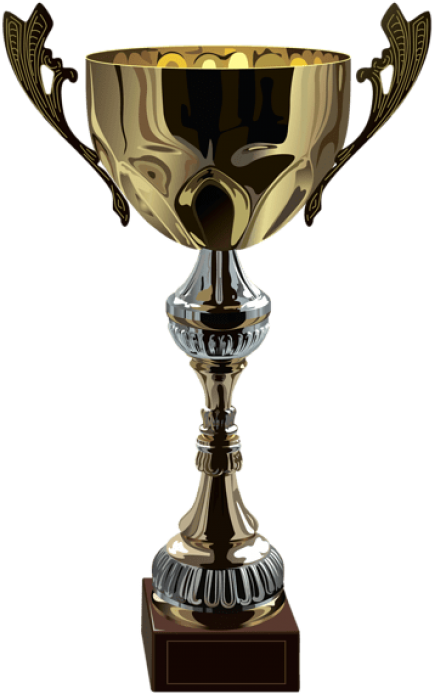 Free Png Download Cup Trophy Clipart Png Photo Png - Cricket World Cup Png (480x730), Png Download