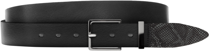 Buckle (700x495), Png Download