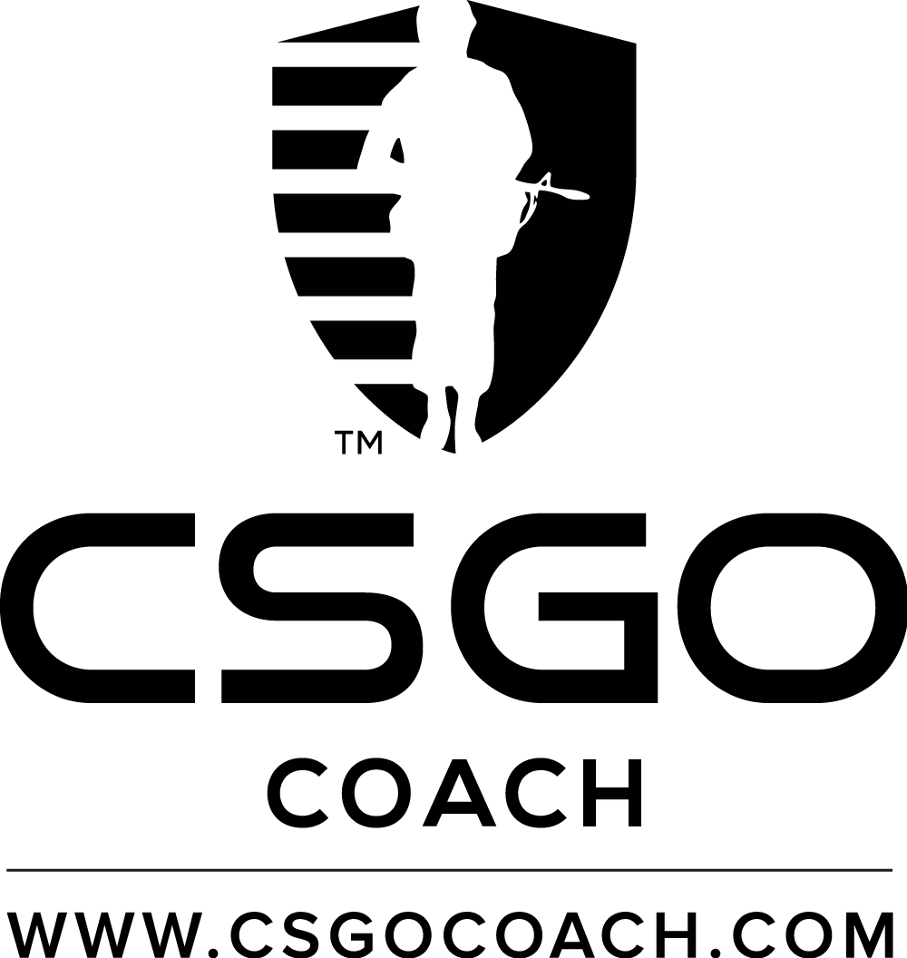 Professional Cs Go Coaching Site With Video Tutorials - Graphic Design (1000x1056), Png Download