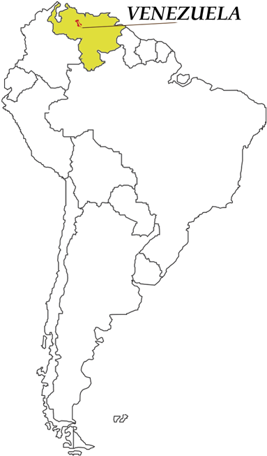 La Hacienda Pozo De Ranas Is Located In The City Of - Latin American Social Sciences Institute (500x721), Png Download