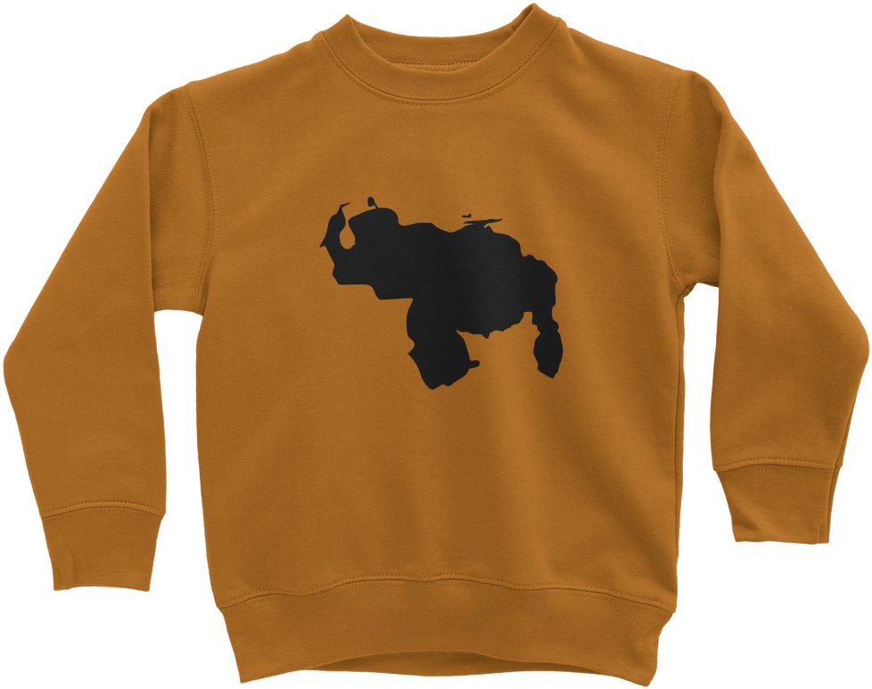 suéter Manga Larga De Niños - Sweatshirt (1024x1024), Png Download