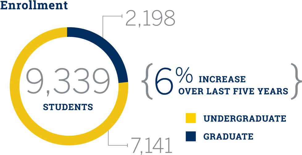 Graph Depicting Breakdown Of Students From Undergraduate - Circle (1000x526), Png Download
