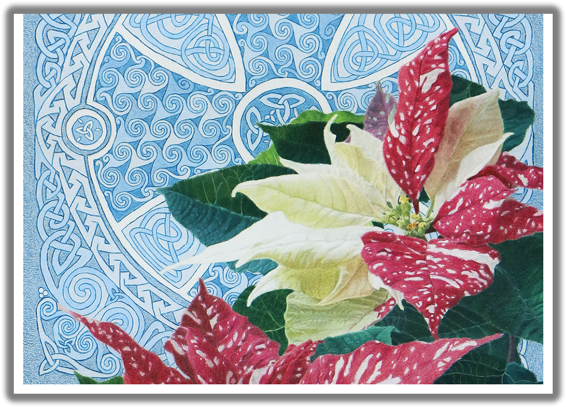 Good Tidings Of Great Joy Poinsettia Christmas Card - Anthurium (1125x825), Png Download