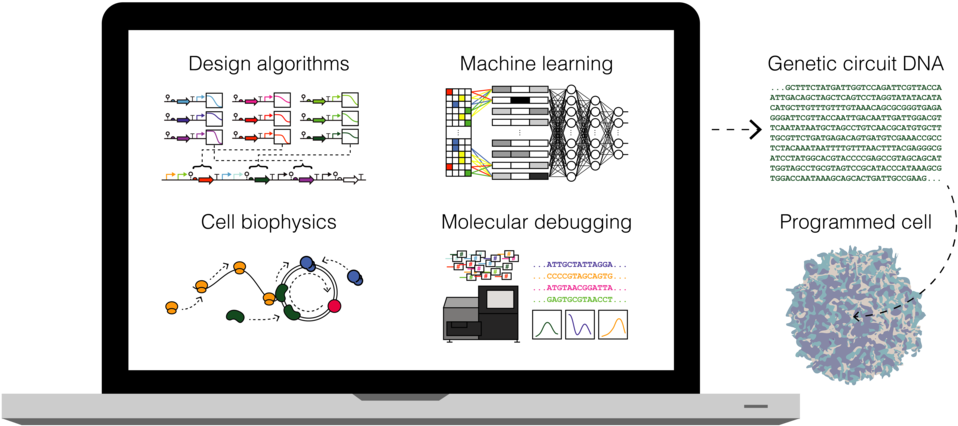 Main Image V4-01 - Diagram (1000x466), Png Download
