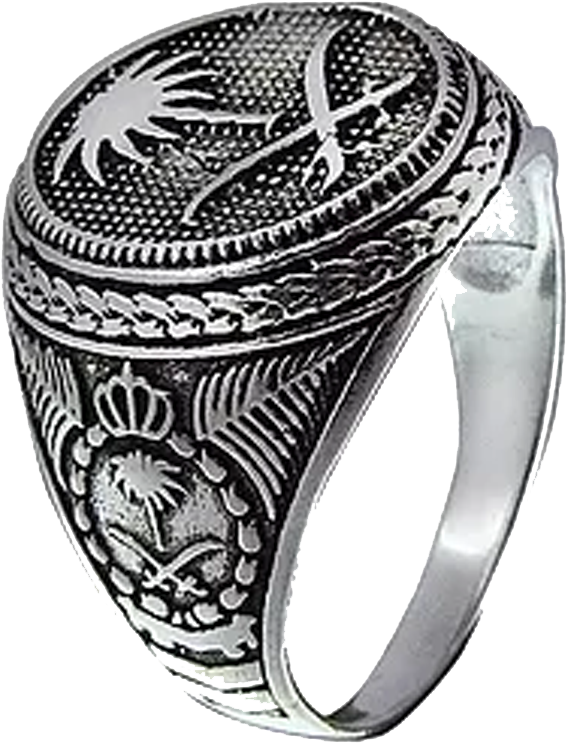 Become Rich With Magic Rings For Money, Wealth And - Chevaliere Bague En Argent Homme (768x825), Png Download
