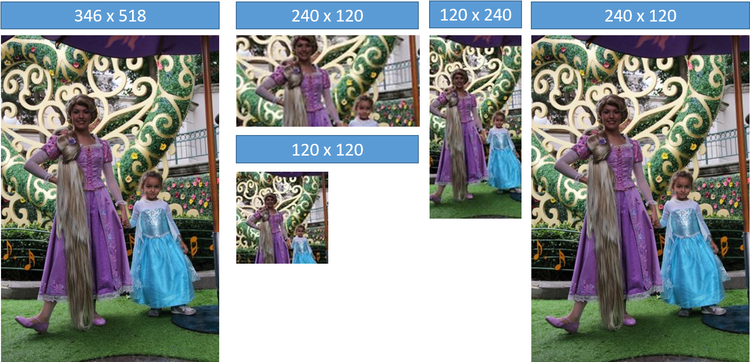 En El Ejemplo De Ayer, Utilicé Como Imagen Original - Floral Design (1532x746), Png Download