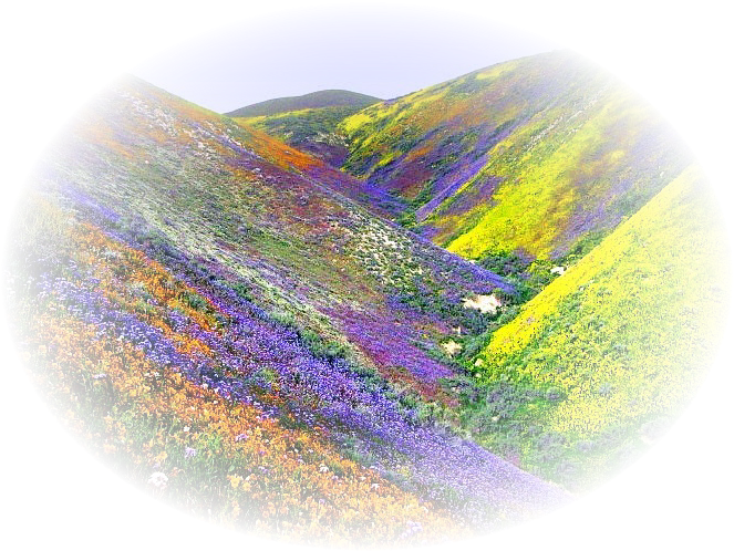 Misted De Paisajes En Formato Png - Valley Of Flowers Uttaranchal (681x511), Png Download
