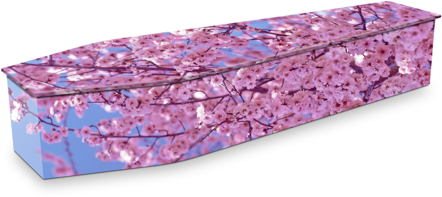 Coffin Image - " - Coffin Pink (1000x669), Png Download