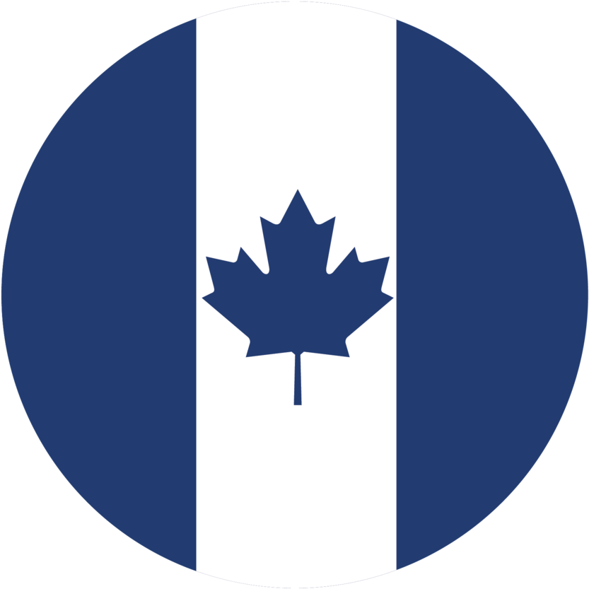 Canada - Small Canada Flag Logo (1000x1007), Png Download