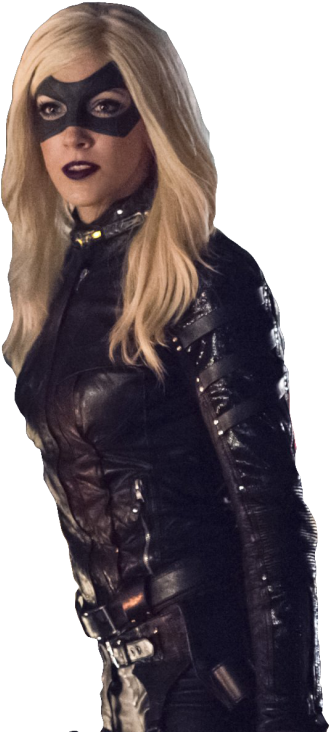 Png Canário Negro - Dc Comics Black Canary Transparent (423x750), Png Download