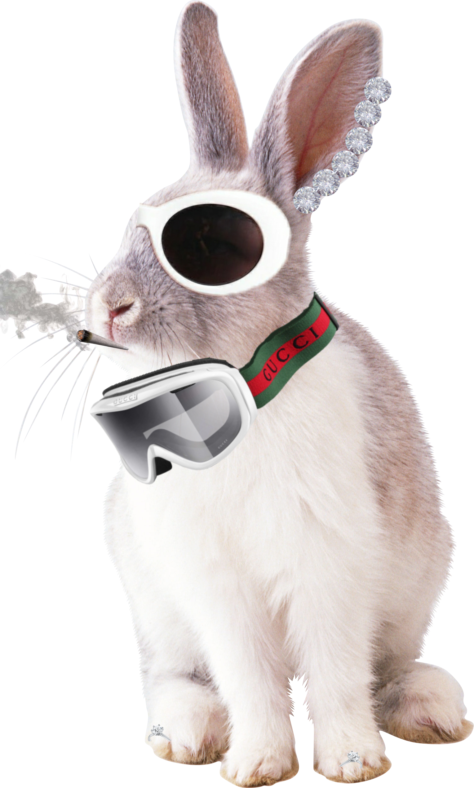 Damn - White Rabbit Image Png (1529x2542), Png Download