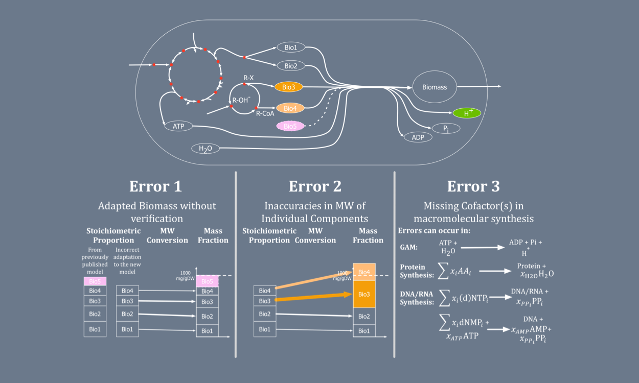 Biomass Standardization Algorithm - Diagram (1250x750), Png Download