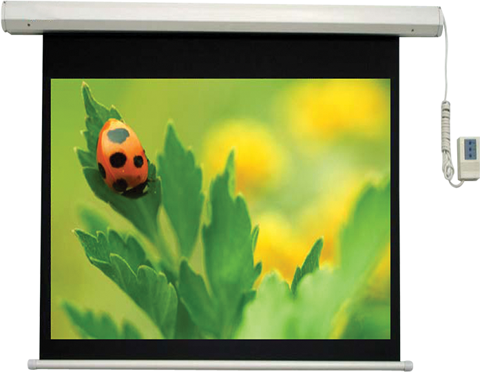 Electric Projection Screen - Projection Screen (800x764), Png Download