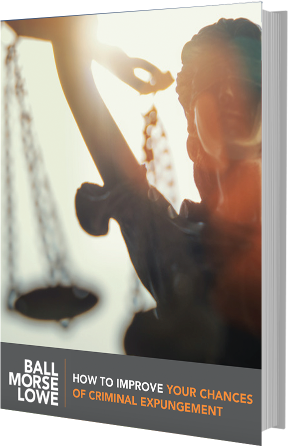 Bml 3dbook - Criminal Justice Future (611x930), Png Download