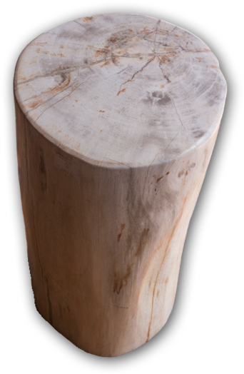 Petrified Wood Log Stool Pf-2105 (1000x750), Png Download