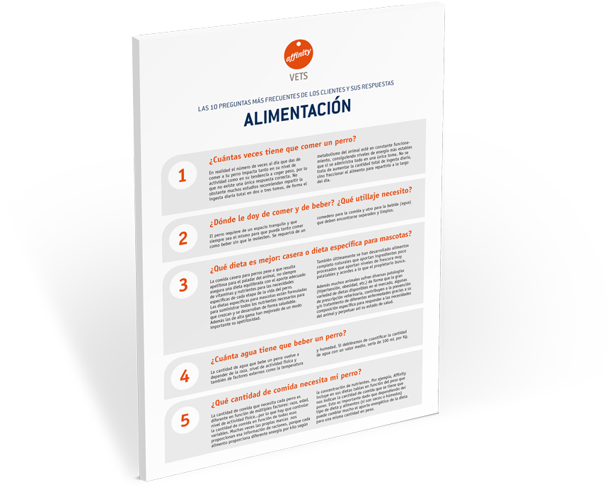 ¡descubre El Ebook Sobre Las Preguntas Más Frecuentes - Parallel (900x900), Png Download