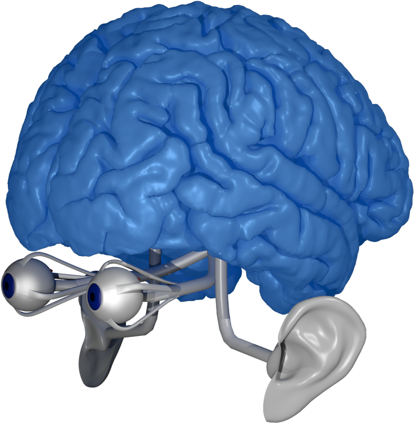 What Is Ride Your Mind - Illustration (1920x1080), Png Download