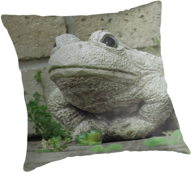 Froggy Gets A Girlfriend ~ By Donna Keevers - Cushion (875x875), Png Download