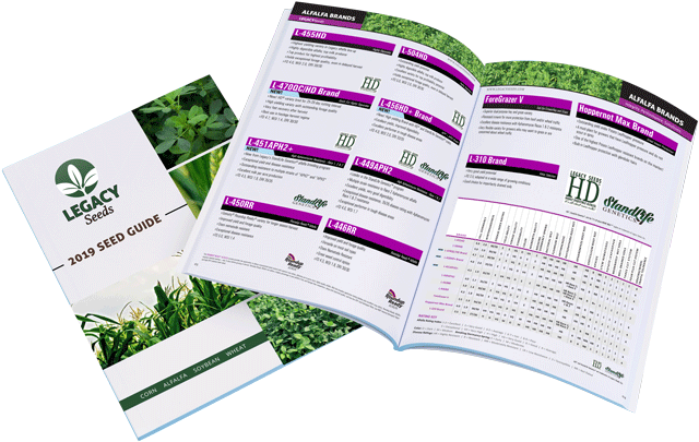 Seed Guide - Brochure (747x499), Png Download