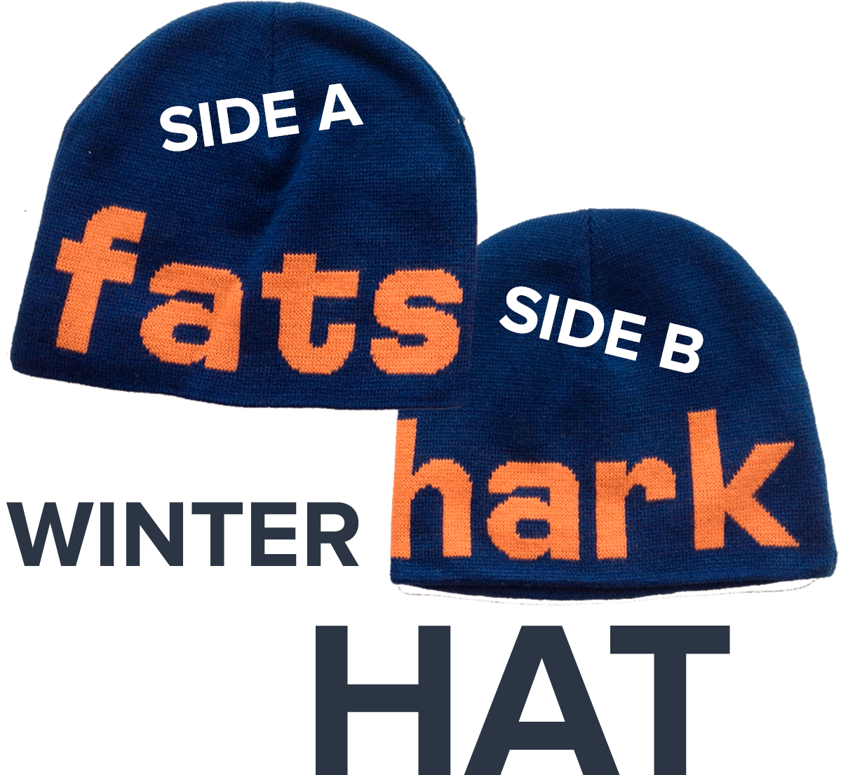 1200 X 1200 Www - You Encounter A Mountain Lion (1200x1200), Png Download