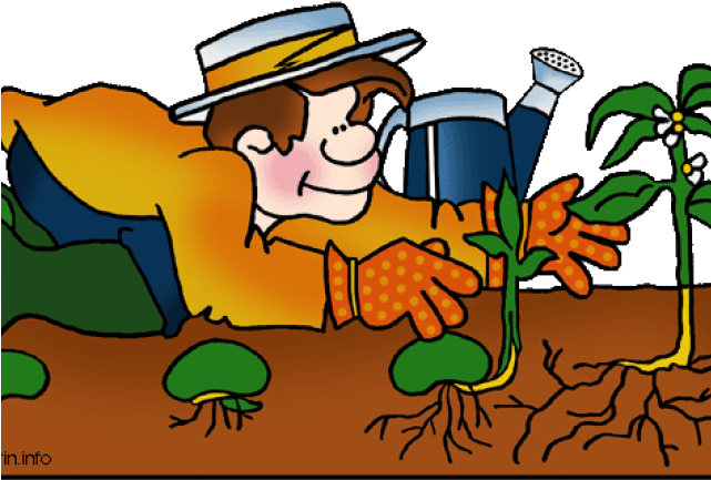 Seed Clipart Plant Life Cycle - Plant Life Cycle Clip (640x480), Png Download