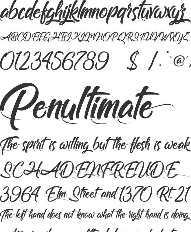 Follow Me Font Preview - Calligraphy (660x800), Png Download