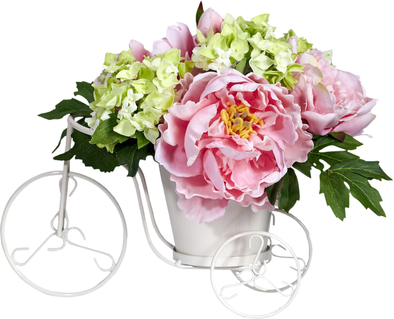 Par Veronique6031 Dans Tubes Fleurs Le 31 Mars 2018 - Gif Pivoine (800x648), Png Download