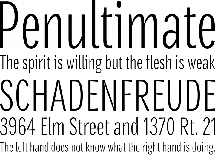 Densia Sans Font Phrases - Open Sans Condensed Font (720x520), Png Download