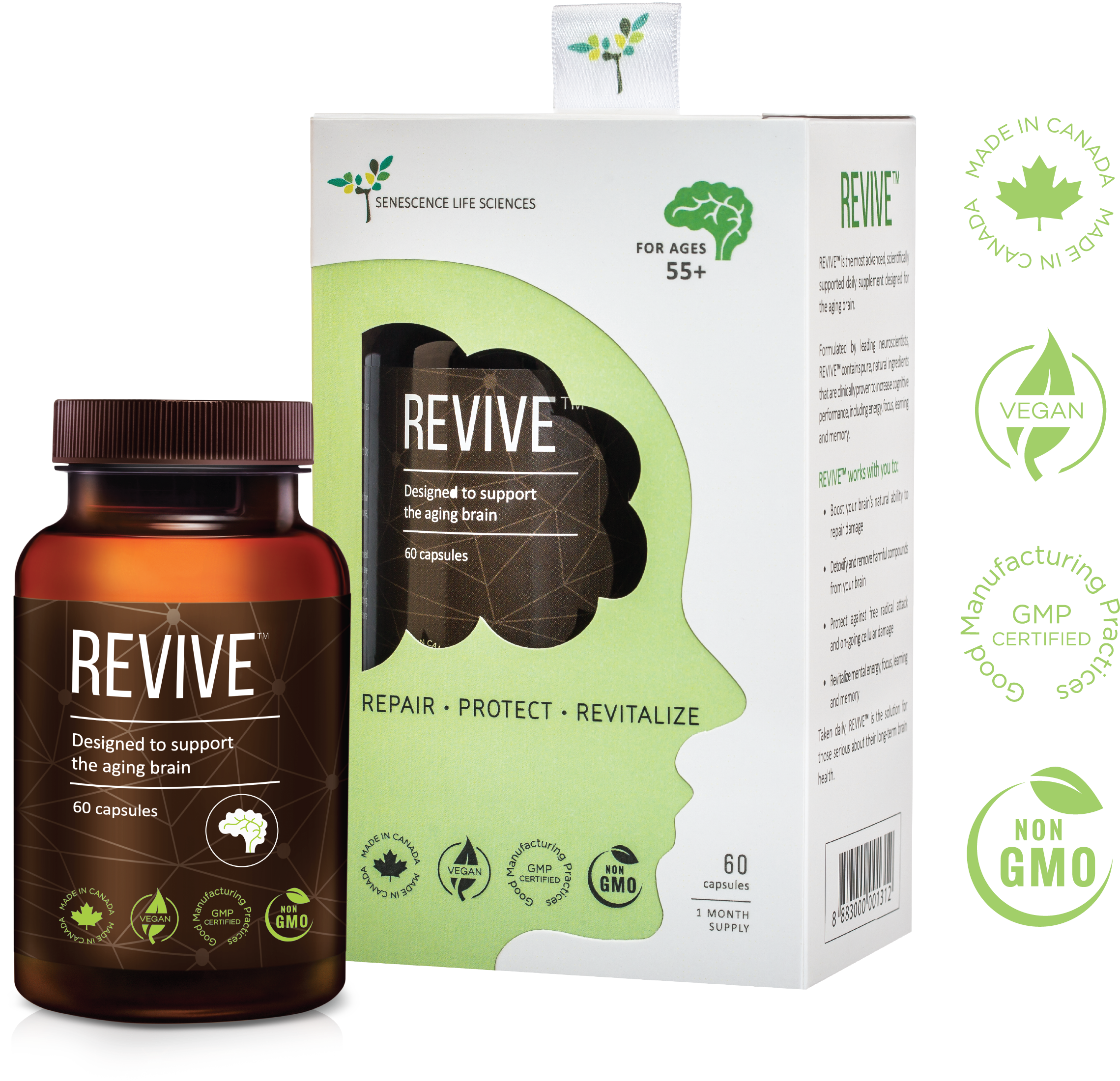 Revive™ Brain Supplement - Revive Senescence (2501x2500), Png Download