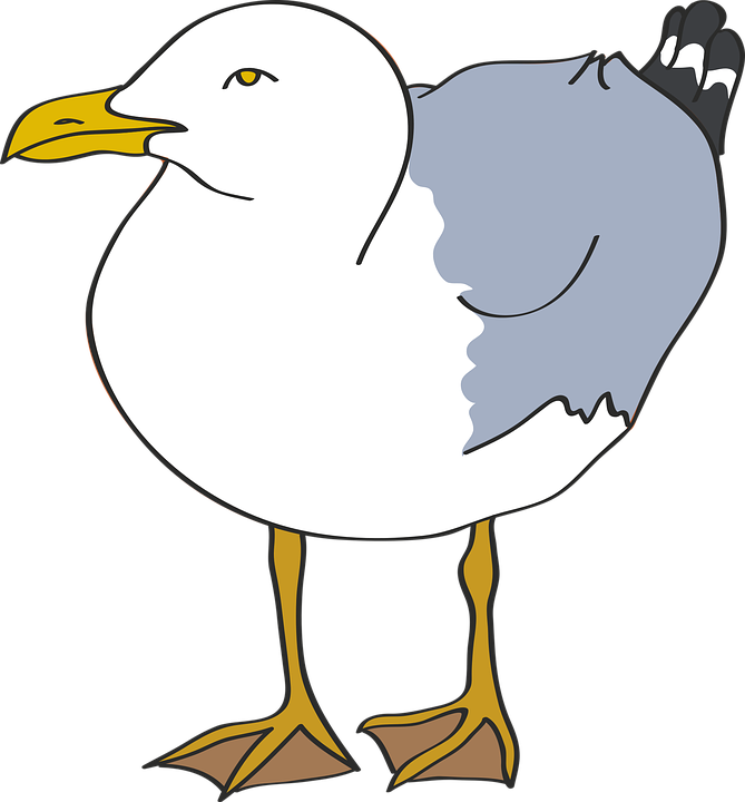 Seagull, Bird, Beach, Sea, Laridae, Coast, Vector - Cartoon Seagulls (669x720), Png Download
