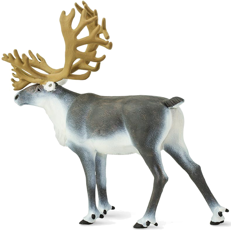 Buy Action Figure Safari Caribou 182229 Elkor - Reindeer (800x800), Png Download