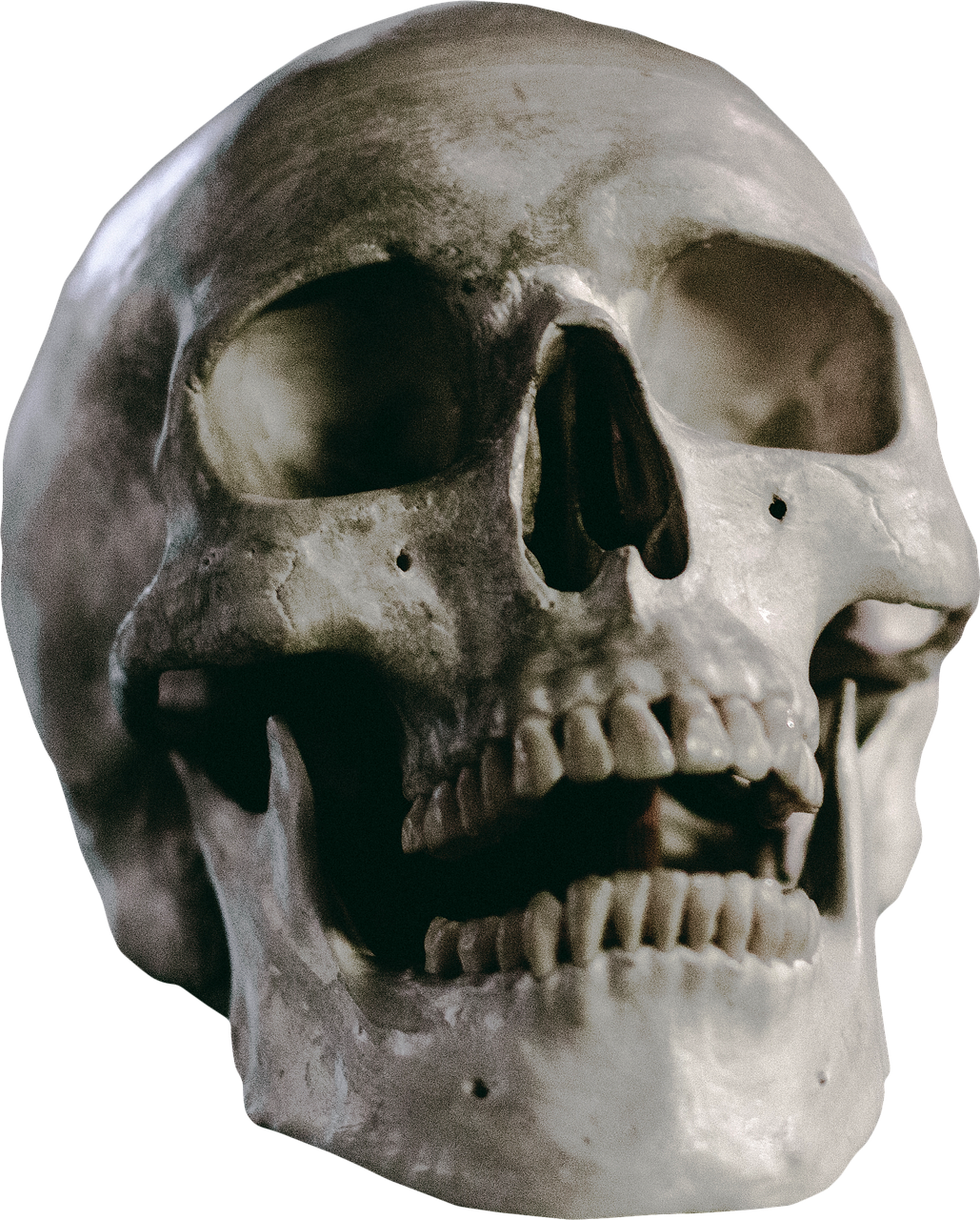 Hurricane Michael Skull (1029x1280), Png Download