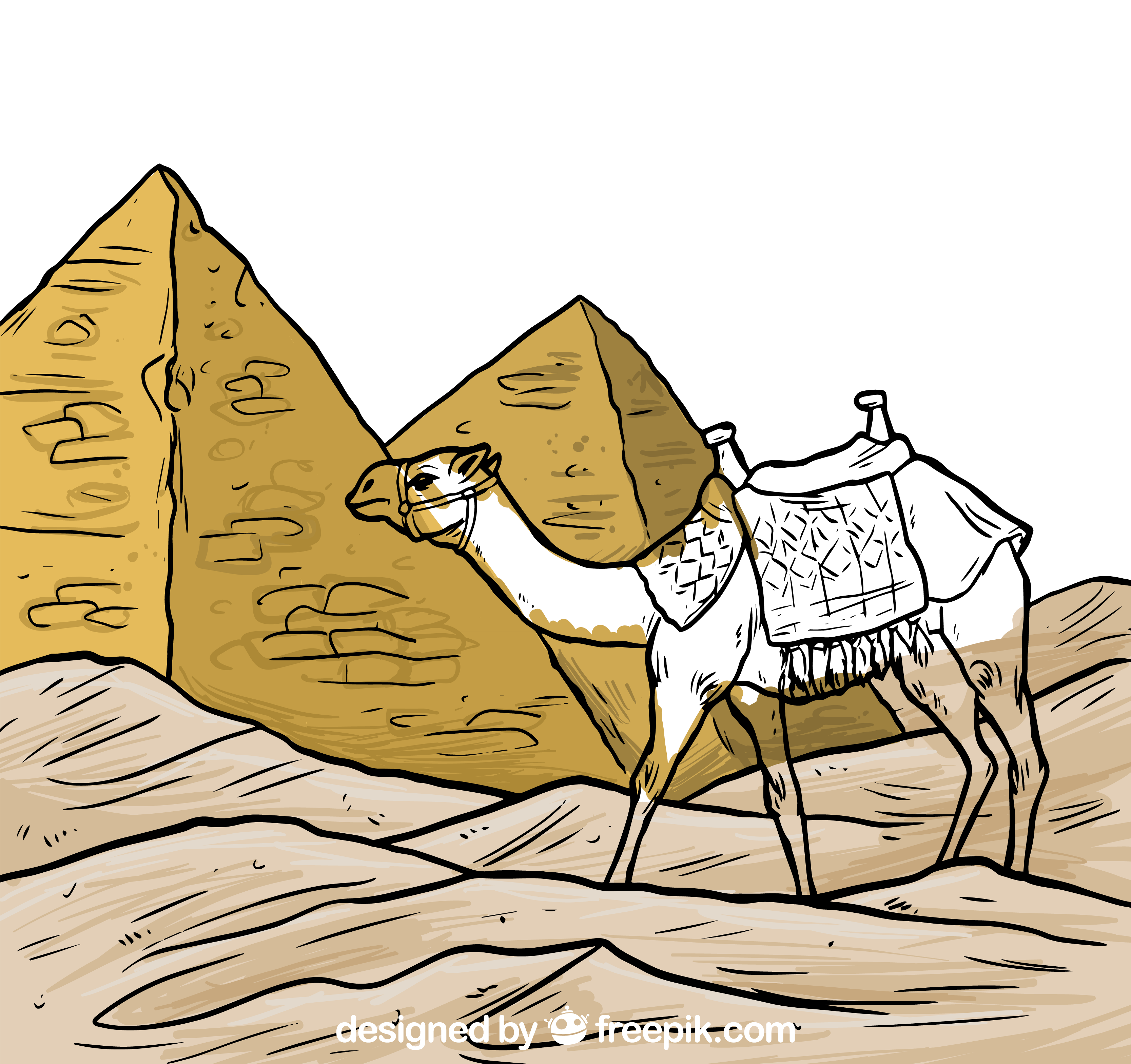 4323 X 3224 4 - Camello De Egipto (4323x3224), Png Download