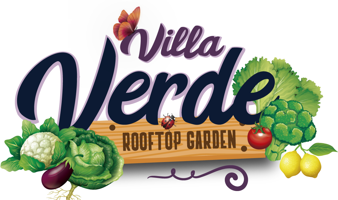 Villa Verde Rooftop Community Garden - Seedless Fruit (1184x668), Png Download