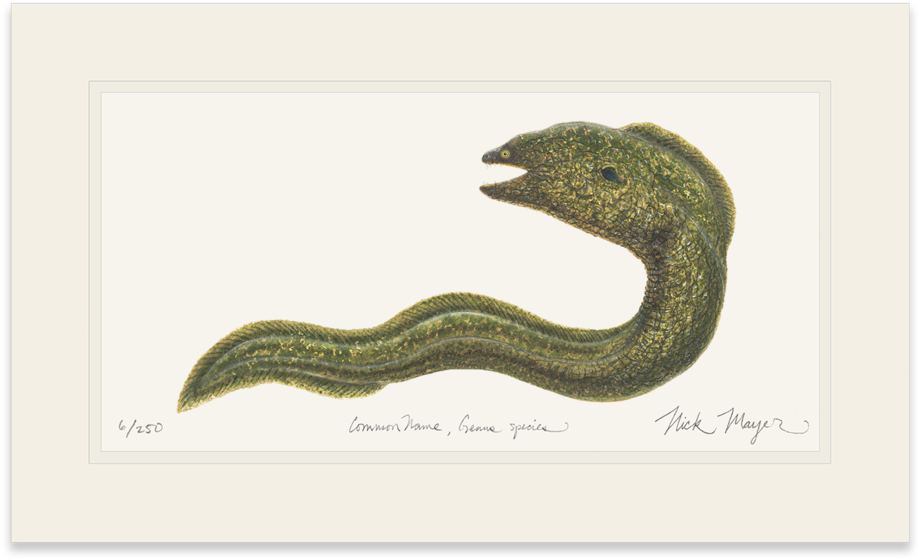 Sign Up And Get 10% Off - Serpent (1023x664), Png Download