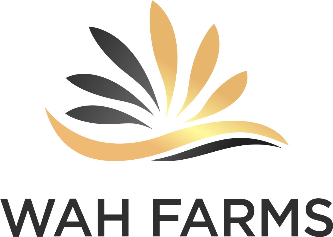 Magento Commerce - Graphic Design (1906x1348), Png Download