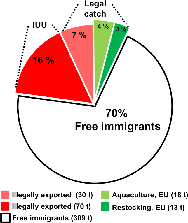 Sustainable Eel Group - Diagram (670x791), Png Download