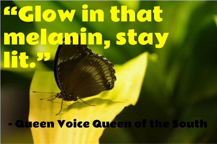 Post A Comment - Insect (960x720), Png Download