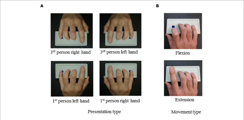 Presentation Types - Ring (850x419), Png Download