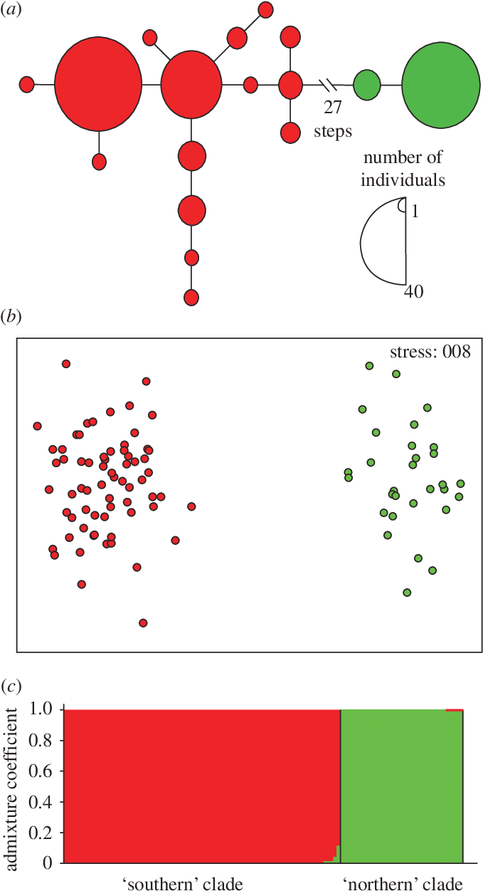 Download - Number (679x1258), Png Download