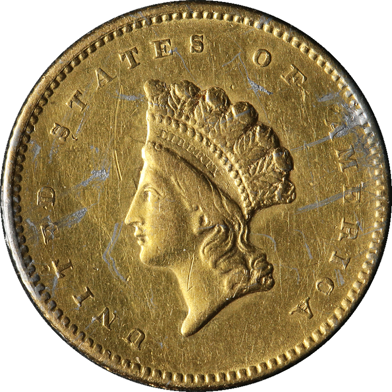 The Executive Coin Company - California Academy Of Sciences (800x800), Png Download