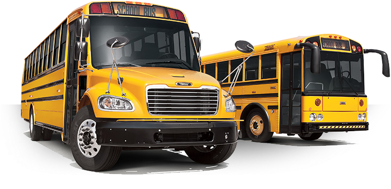 Bus - Thomas Built Buses (800x600), Png Download
