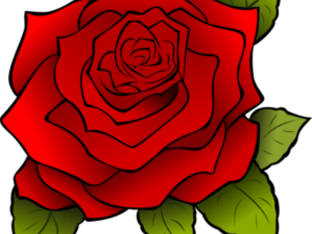 Rose Little Prince Art (640x480), Png Download