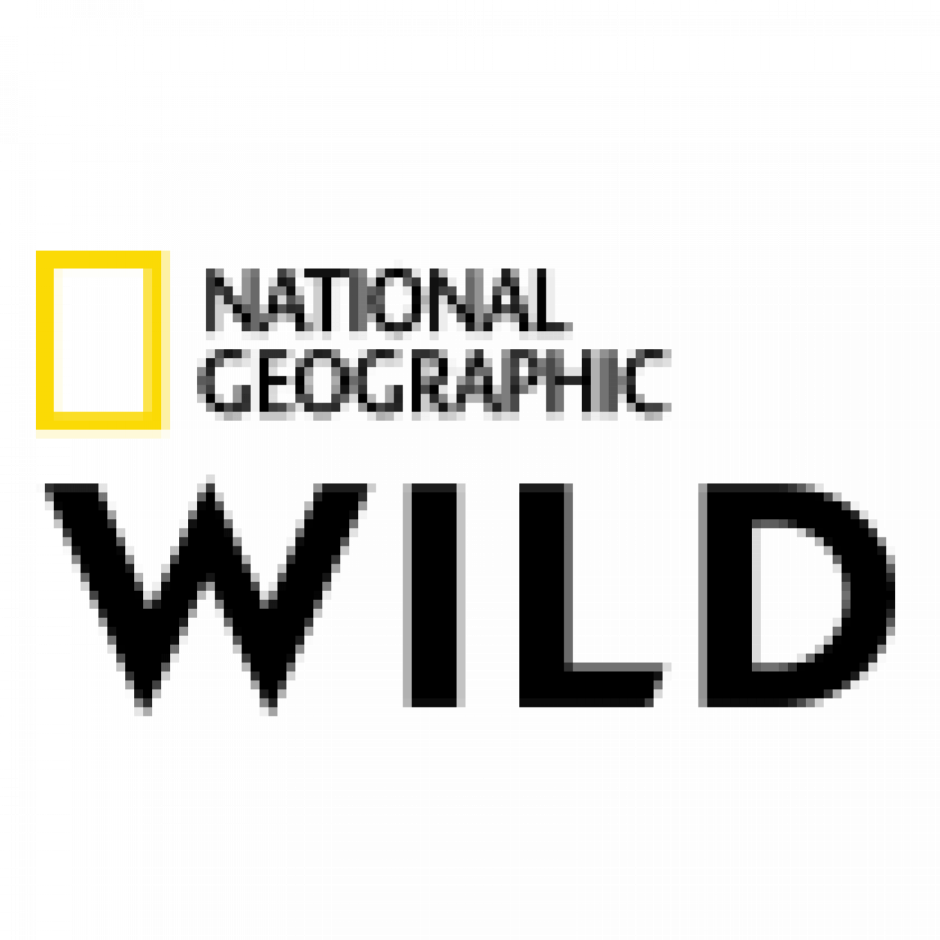 Nat Geo Wild - National Geographic Birding Essentials: All The Tools, (1366x1366), Png Download