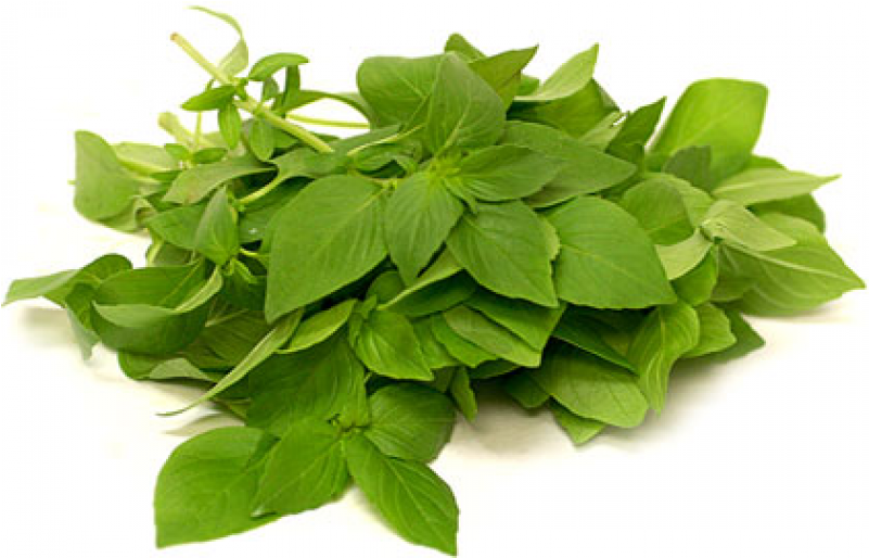 Lemon Basil Png (800x800), Png Download