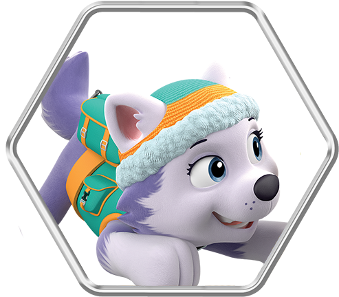 Everest - Paw Patrol Live Everest (500x445), Png Download