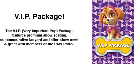 Paw Patrol To The Rescue Ryder Summons Marshall, Chase, - Paw Patrol Skye Beach Towel (596x218), Png Download